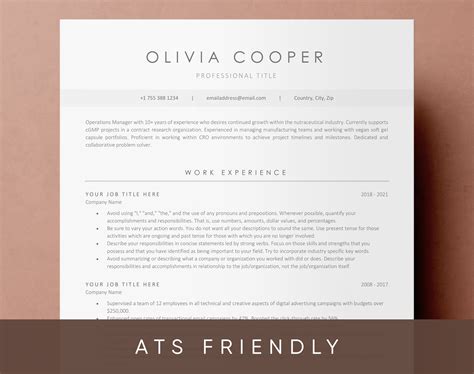 Classic and Professional ATS Resume Template