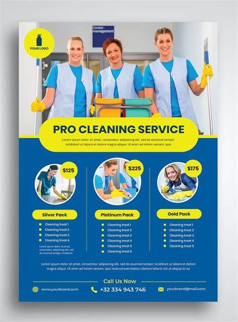 Cleaning Services Flyers Templates