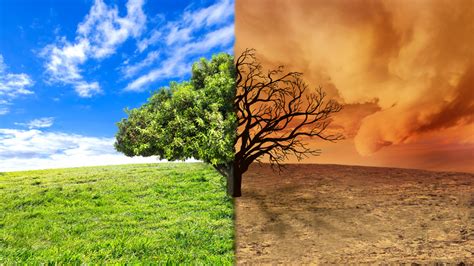 Climate Change and Resource Scarcity