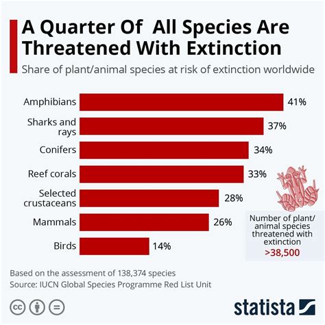 Climate change and extinction risk