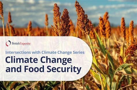 Climate Change Food Security