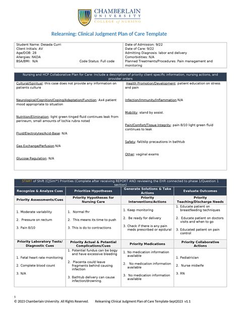 Clinical Judgment Template 4