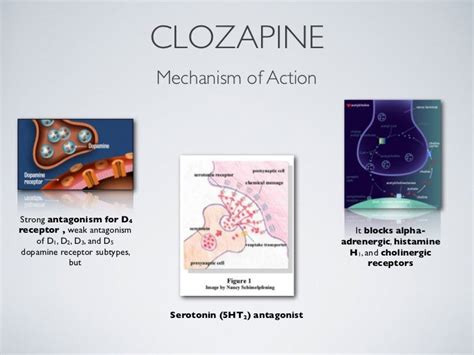 Clozapine Mechanism of Action