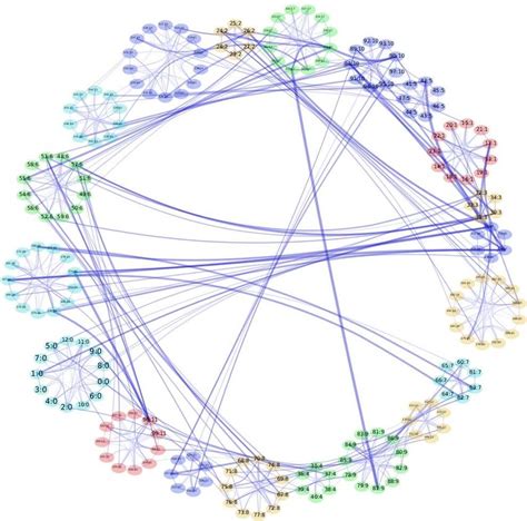 Creating a clustered graph in Excel