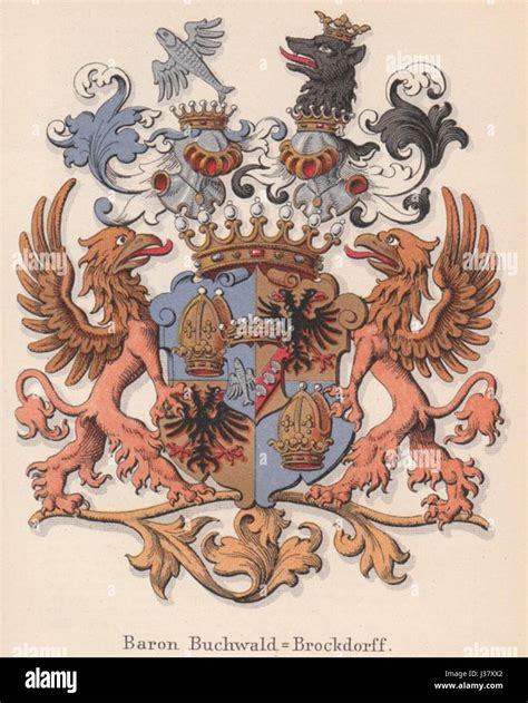 Coat of Arms History