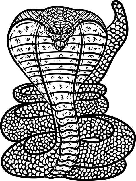 Cobra snake coloring page