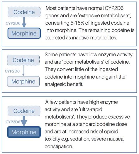 Codeine mechanism of action