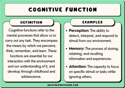 Cognitive Function Image