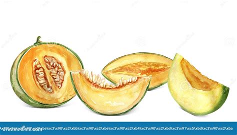 Collage melon design