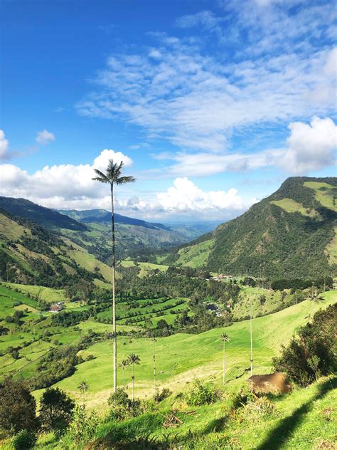 Conexión con la naturaleza