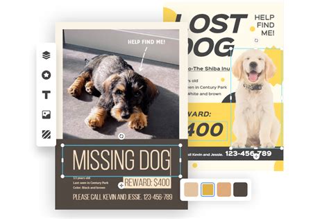 Visible Color Scheme for Lost Pet Poster