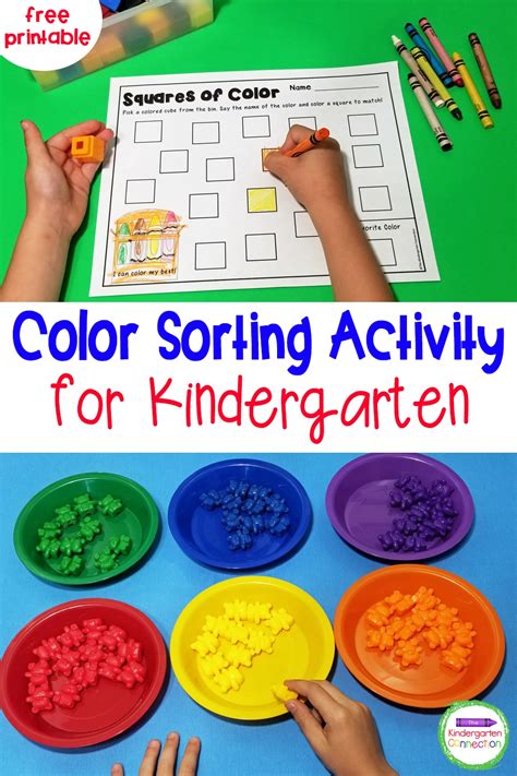 Color Sorting Activity