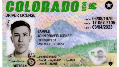 Colorado Driver's License Status