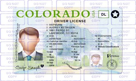 Colorado Driver's License