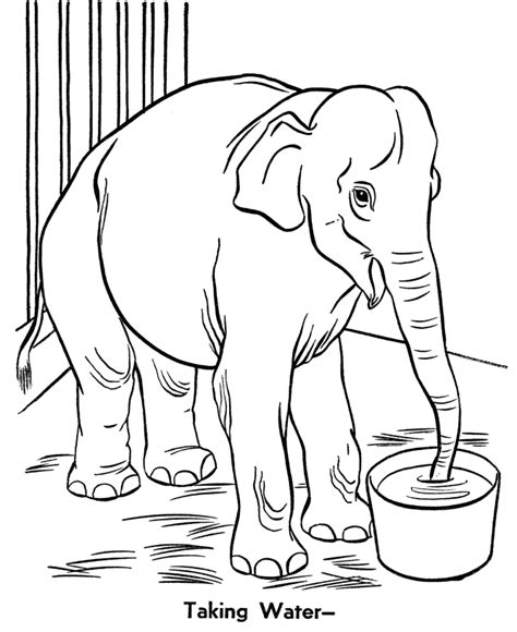 Coloring page featuring an elephant