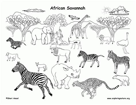 Coloring page featuring a savannah scene