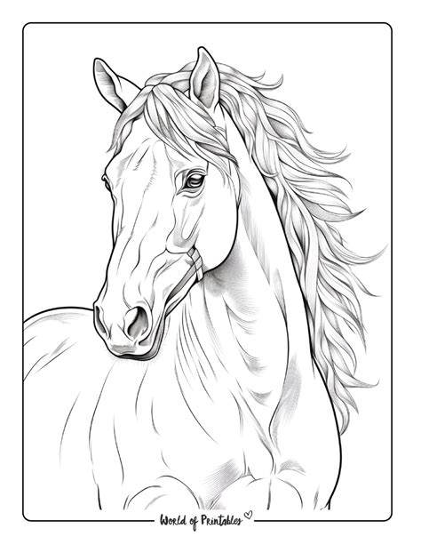 Coloring Pages Of Horses