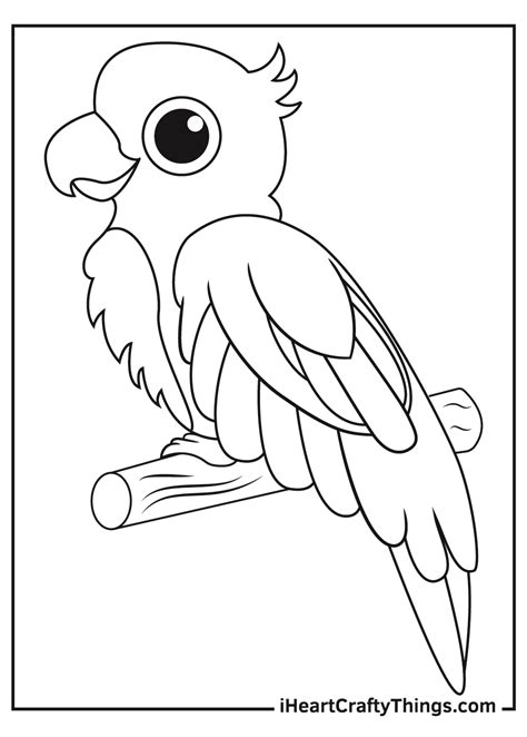 Coloring Pages of Parrots