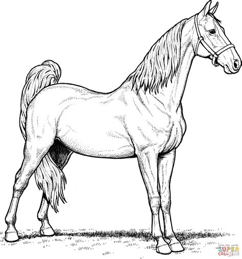 Realistic Horse Coloring Pages Example 6