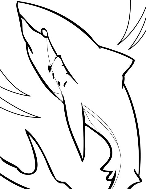 Coloring Pages of Sharks