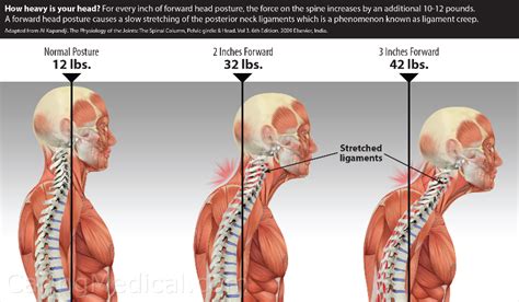 Before and After Column Reversal