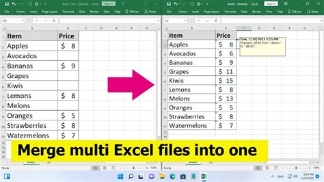 Combining Excel Files Method 8