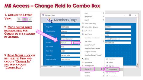 Adding data to a combo box from a database