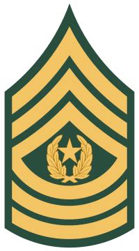 Command Sergeant Major E-9 Salary