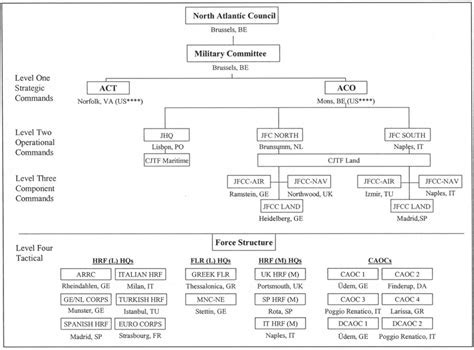 Chain of Command Structure