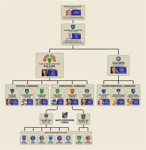 Chain of Command Diagram