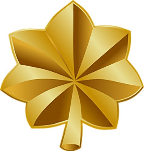 Commander Insignia