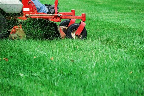 Commercial lawn care image gallery