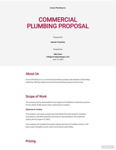 Commercial Plumbing Proposal Template Example 1