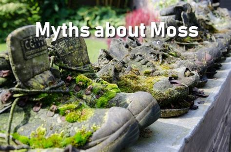 Common MOS myths and misconceptions