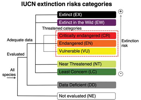 Community engagement and extinction risk