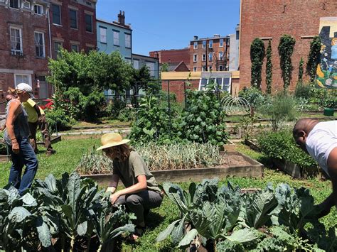 A community garden with plots available for rent