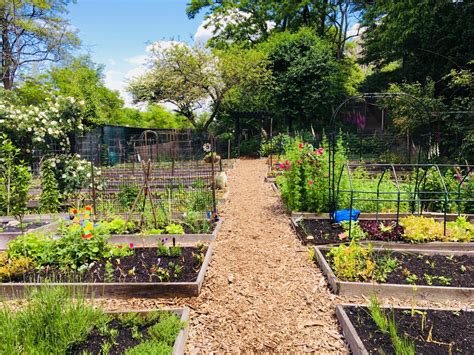 Community garden in Grand Rapids