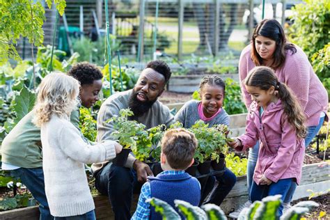 Community Garden in Davenport, Iowa