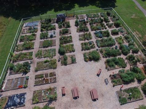 Community Garden in Orange, Texas, fostering community and food growth