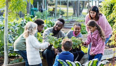 Community garden image