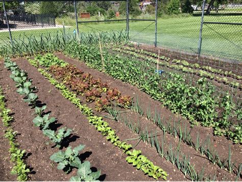 Community Gardens in Rankin County