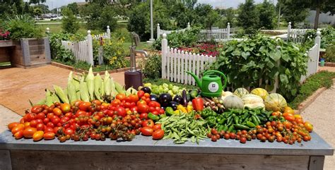 Community Gardens and Food Assistance Programs