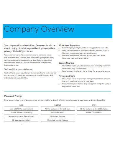 Company Information Section