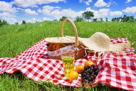 Company Picnic Ideas for Small Business