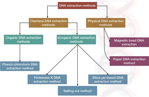 Comparison of extraction methods