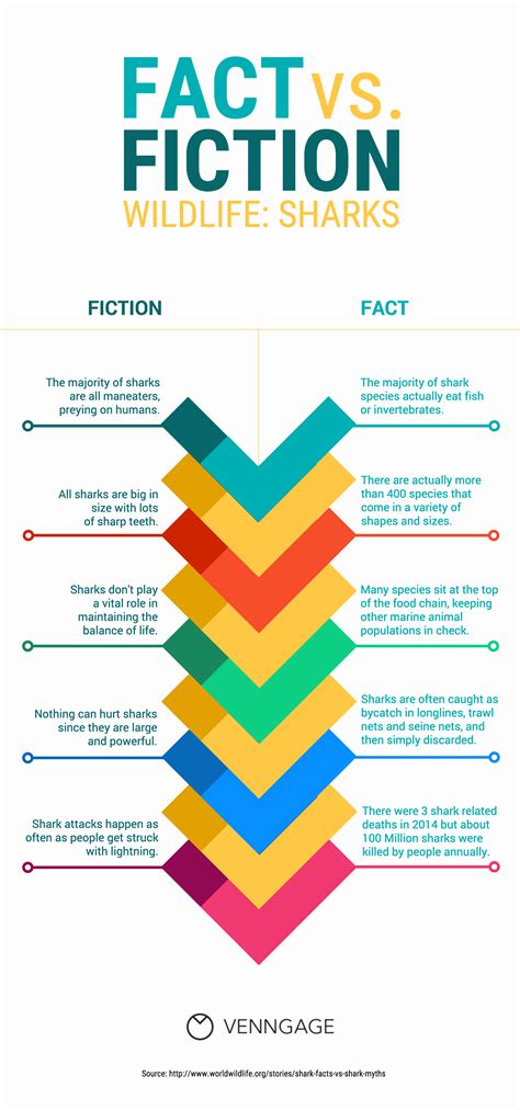 Comparison Infographic