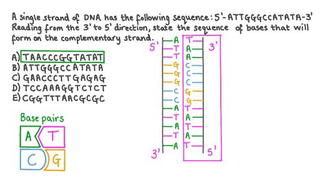 Complementary Strand Identification