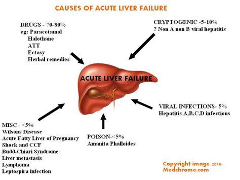 Complications and risks of liver diseases