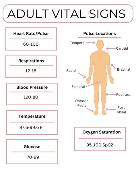 Components of Vital Signs Assessment