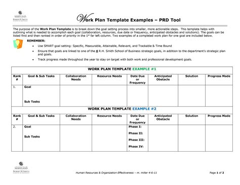 Comprehensive Work Plan Template